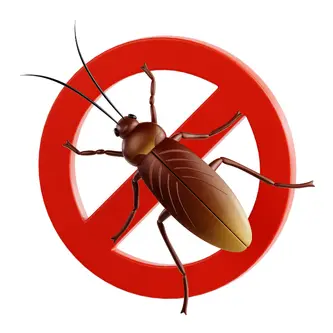Pest Control